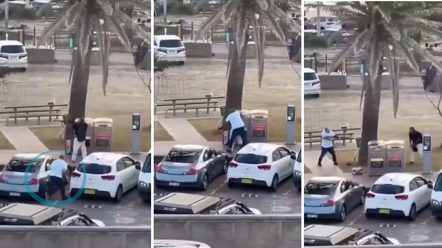 Ahmed Al Ahmed Hailed as Hero After Disarming Gunman in Sydney Shooting