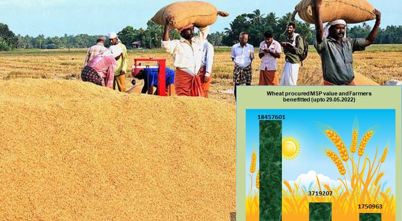 Wheat procurement in RMS 2022-23 has so far benefitted 17.50 Lakh farmers with an MSP value of Rs. 37,192.07 Crore